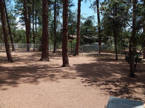 309 E Chateau Cir, Payson, AZ 85541 photo 28