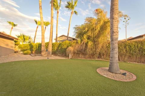 2269 E Clinton St, Phoenix, AZ 85028 photo 51