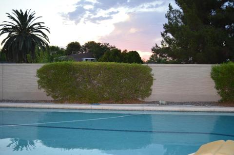 1501 E Fairfield St, Mesa, AZ 85203 photo 16