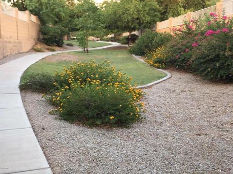 8424 Edgewood Ave, Mesa, AZ 85208 photo 28