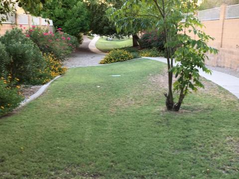 8424 Edgewood Ave, Mesa, AZ 85208 photo 27