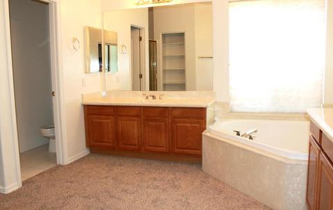 4482 E Olive Ave, Gilbert, AZ 85234 photo 29