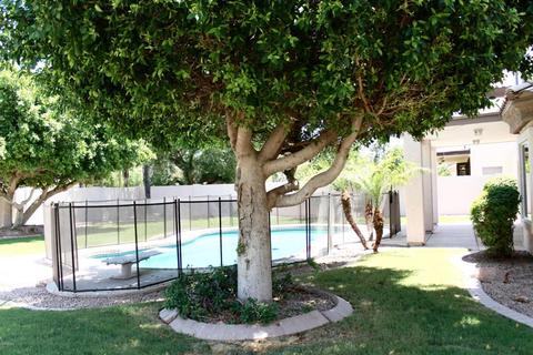 4482 E Olive Ave, Gilbert, AZ 85234 photo 46