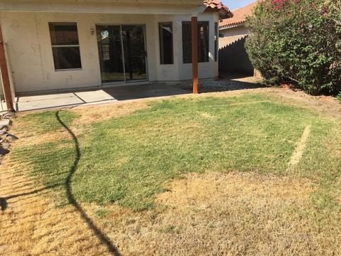 4617 E Thistle Landing Dr, Phoenix, AZ 85044 photo 28