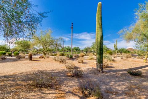 8740 E Ivy St, Mesa, AZ 85207 photo 36