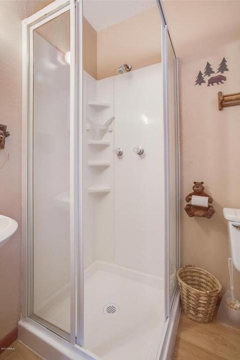 5217 N Peach Ln, Pine, AZ 85544 photo 26