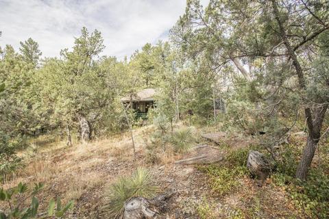 5217 N Peach Ln, Pine, AZ 85544 photo 3