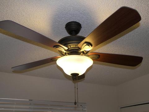1416 E Palmdale Dr, Tempe, AZ 85282 photo 17