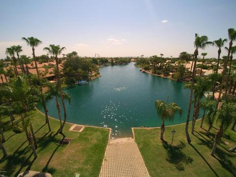 1114 W Iris Dr, Gilbert, AZ 85233 photo 3