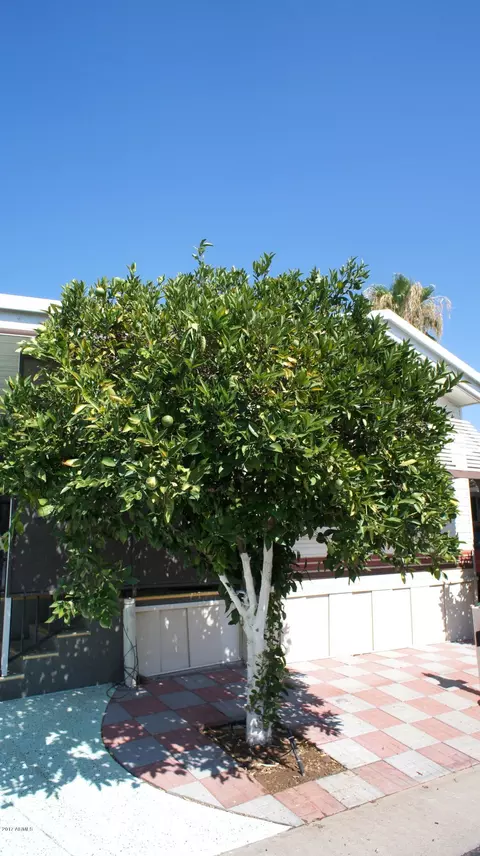 7750 E Broadway Rd #519, Mesa, AZ 85208 photo 6
