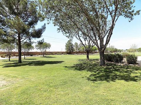 1812 E Harrison St, Gilbert, AZ 85295 photo 29