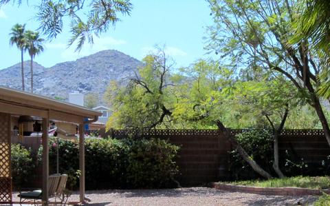 4346 E Sunrise Dr, Phoenix, AZ 85044 photo 18