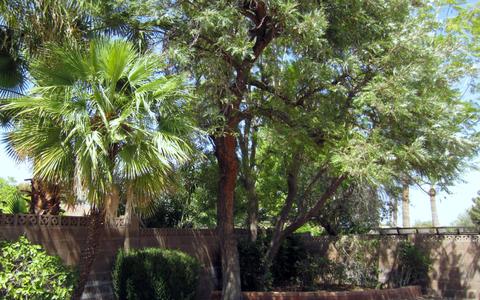 4346 E Sunrise Dr, Phoenix, AZ 85044 photo 21
