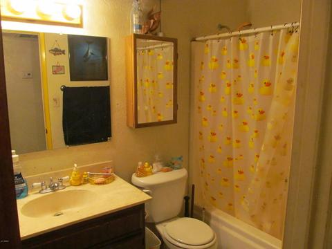 2203 E Sandra Ter, Phoenix, AZ 85022 photo 10