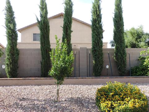 11412 E Starkey Cir, Mesa, AZ 85212 photo 45