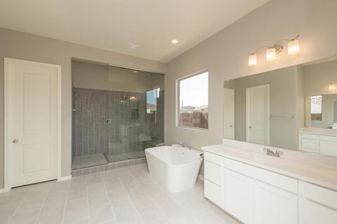 10730 E Simone Ave, Mesa, AZ 85212 photo 10