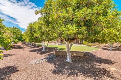 3255 E June Cir, Mesa, AZ 85213 photo 48