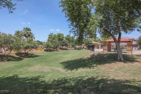 67 E Palomino Dr, Gilbert, AZ 85296 photo 27