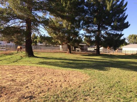 2626 E Park Ave, Gilbert, AZ 85234 photo 3
