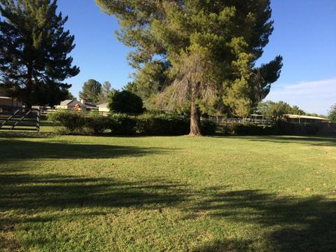 2626 E Park Ave, Gilbert, AZ 85234 photo 2