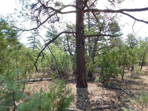 2019 Judy Ranch Rd #-, Overgaard, AZ 85933 photo 7