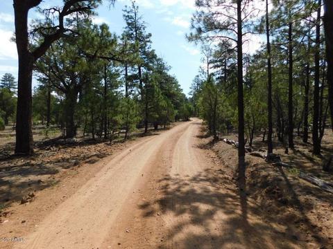 2019 Judy Ranch Rd #-, Overgaard, AZ 85933 photo 3