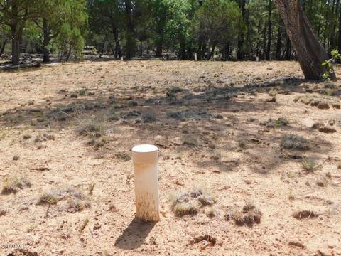 2019 Judy Ranch Rd #-, Overgaard, AZ 85933 photo 19