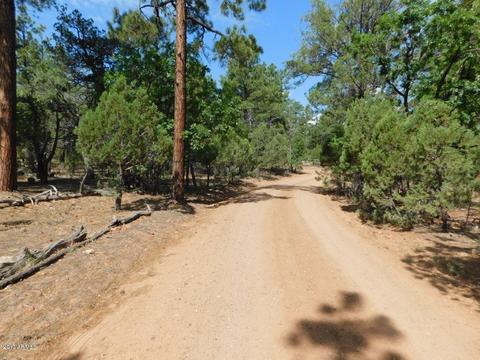2019 Judy Ranch Rd #-, Overgaard, AZ 85933 photo 20