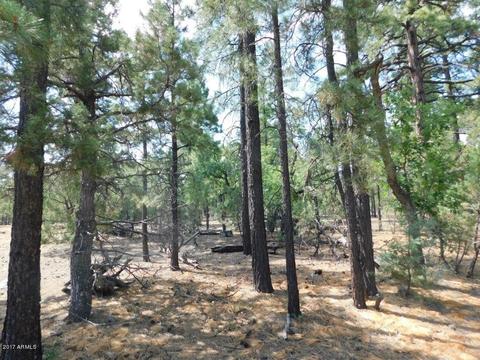2019 Judy Ranch Rd #-, Overgaard, AZ 85933 photo 11