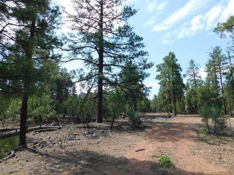 2019 Judy Ranch Rd #-, Overgaard, AZ 85933 photo 1