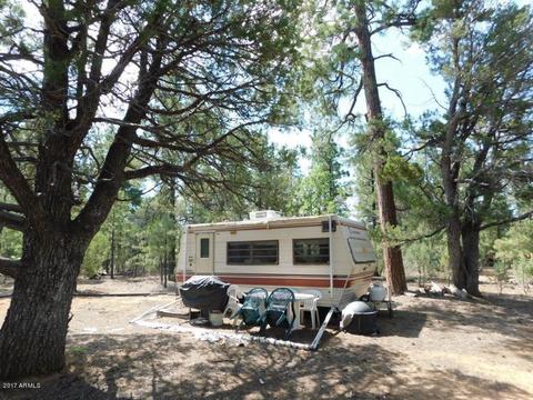 2019 Judy Ranch Rd #-, Overgaard, AZ 85933 photo 16