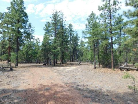2019 Judy Ranch Rd #-, Overgaard, AZ 85933 photo 9