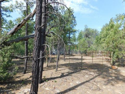 2019 Judy Ranch Rd #-, Overgaard, AZ 85933 photo 12
