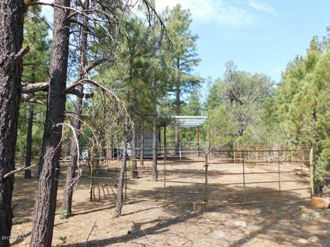 2019 Judy Ranch Rd #-, Overgaard, AZ 85933 photo 13