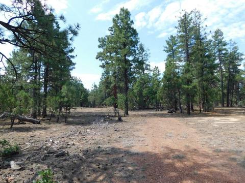2019 Judy Ranch Rd #-, Overgaard, AZ 85933 photo 8