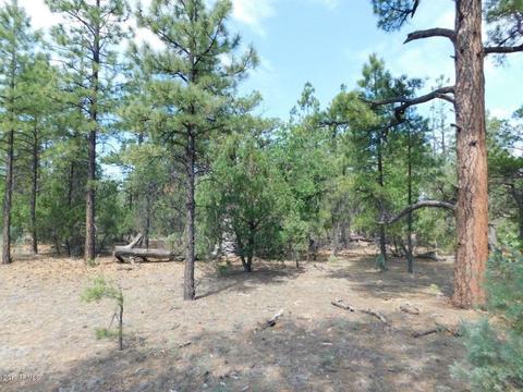2019 Judy Ranch Rd #-, Overgaard, AZ 85933 photo 10