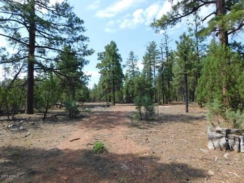 2019 Judy Ranch Rd #-, Overgaard, AZ 85933 photo 6