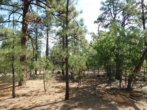 2019 Judy Ranch Rd #-, Overgaard, AZ 85933 photo 15