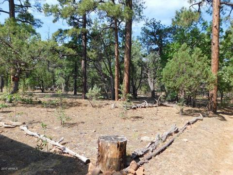 2019 Judy Ranch Rd #-, Overgaard, AZ 85933 photo 2
