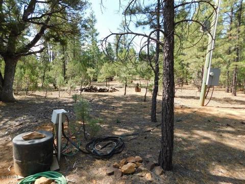 2019 Judy Ranch Rd #-, Overgaard, AZ 85933 photo 17