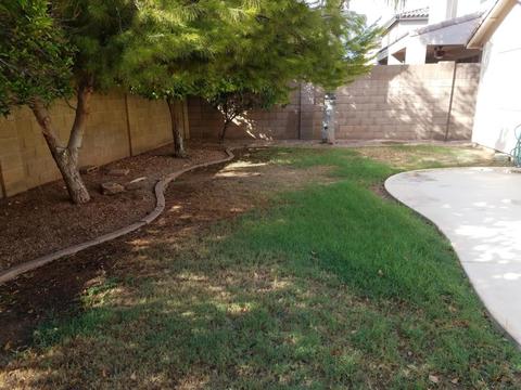 892 N Harmony Ave, Gilbert, AZ 85234 photo 12