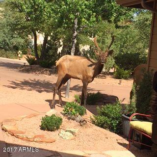 58 S Union Park Dr, Payson, AZ 85541 photo 30