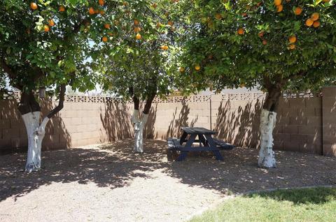 444 E Carson Dr, Tempe, AZ 85282 photo 27