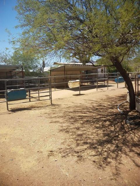 1550 W Whiteley St, Apache Junction, AZ 85120 photo 35