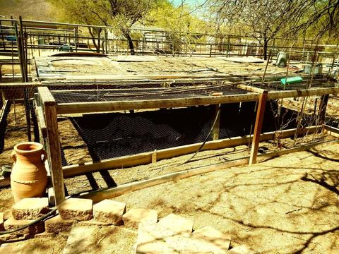 1550 W Whiteley St, Apache Junction, AZ 85120 photo 24