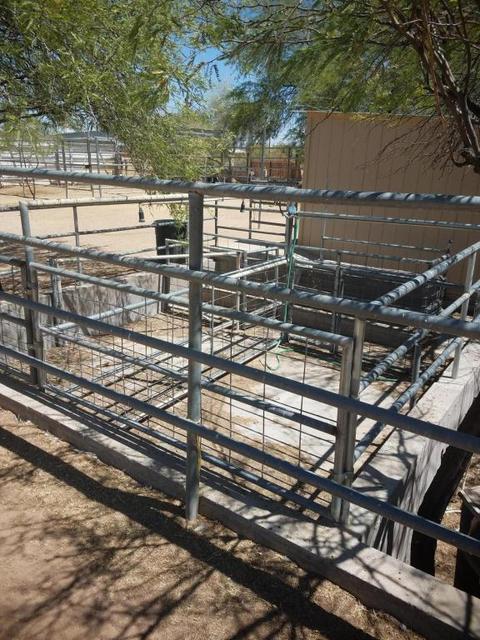 1550 W Whiteley St, Apache Junction, AZ 85120 photo 36