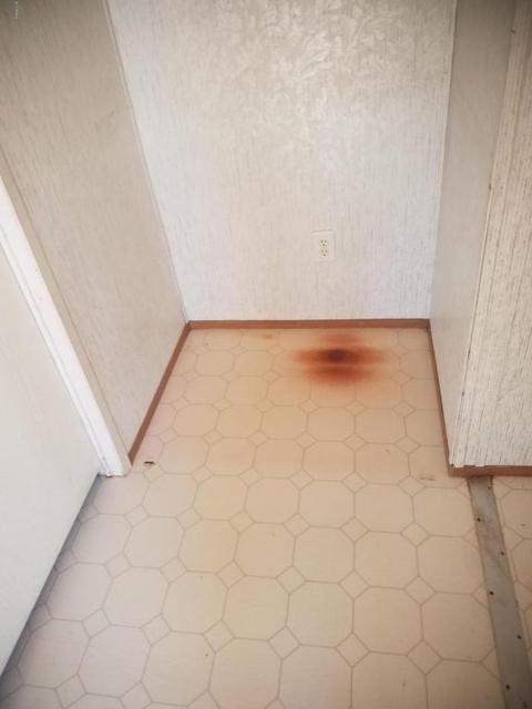 1550 W Whiteley St, Apache Junction, AZ 85120 photo 7