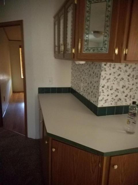 1550 W Whiteley St, Apache Junction, AZ 85120 photo 10