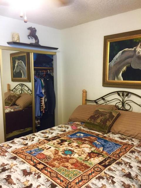 1065 N Arroya Rd, Apache Junction, AZ 85119 photo 10
