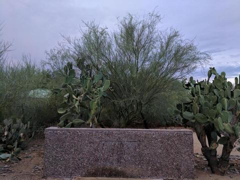 4042 E Fanfol Dr, Phoenix, AZ 85028 photo 39